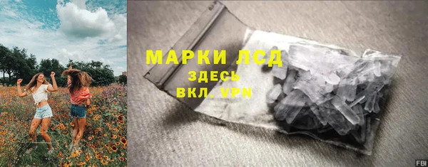 ГАЛЛЮЦИНОГЕННЫЕ ГРИБЫ Гусев