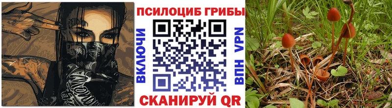 кракен рабочий сайт  Пересвет  Галлюциногенные грибы мицелий 